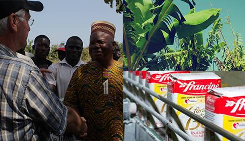 Le Cœur de VIVESCIA