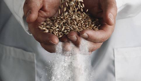 Site internet de VIVESCIA Industries